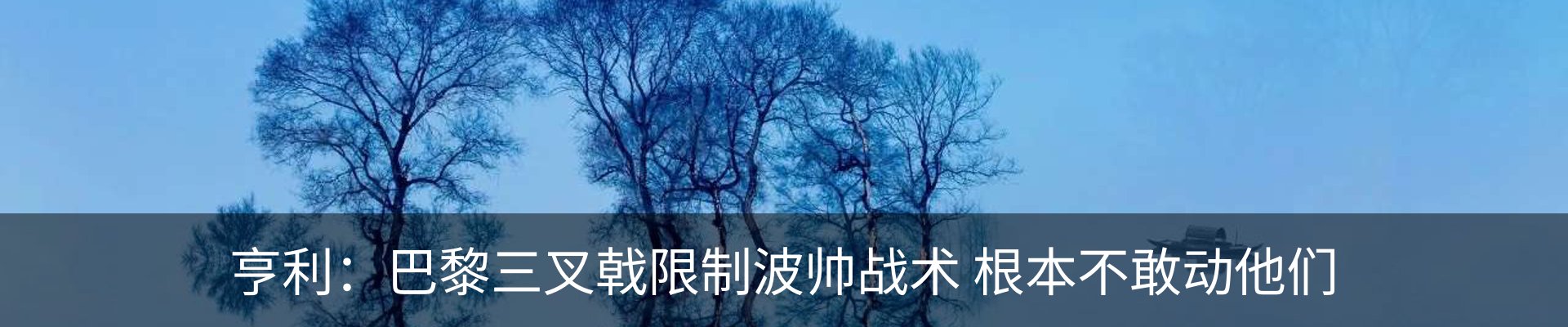 新闻动态